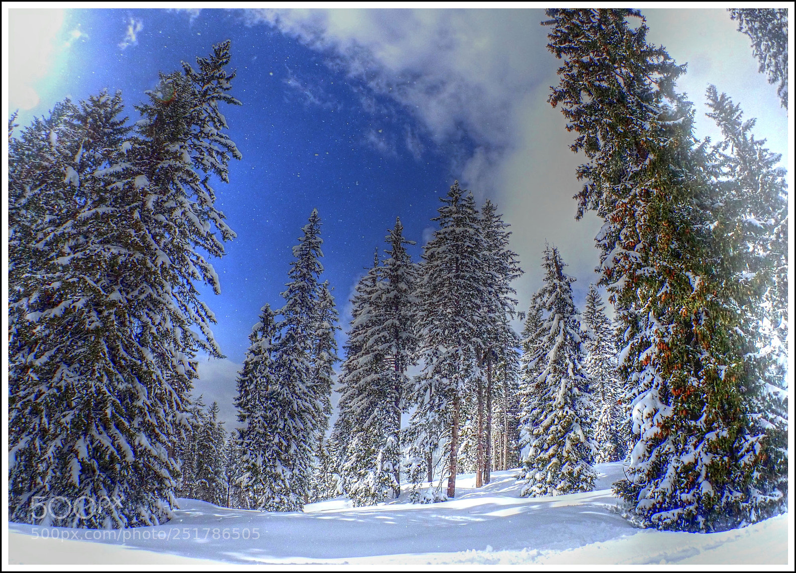 Olympus TG-5 sample photo. Sonnenschein und schneefall photography