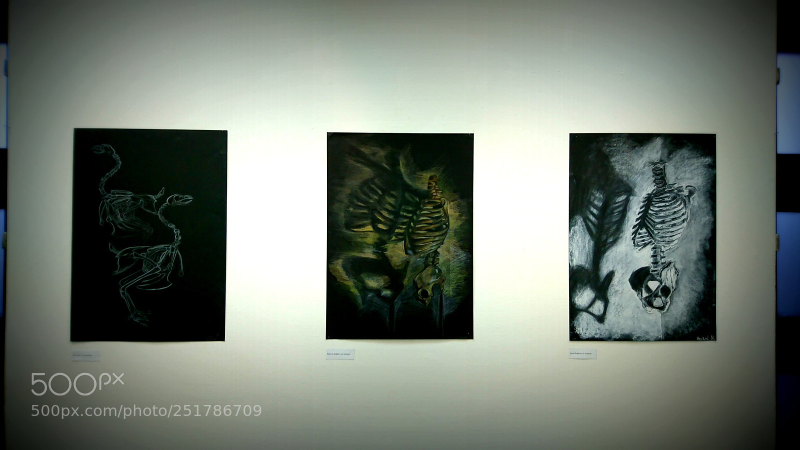 Sony Xperia XZ sample photo. Art school students exhibition photography