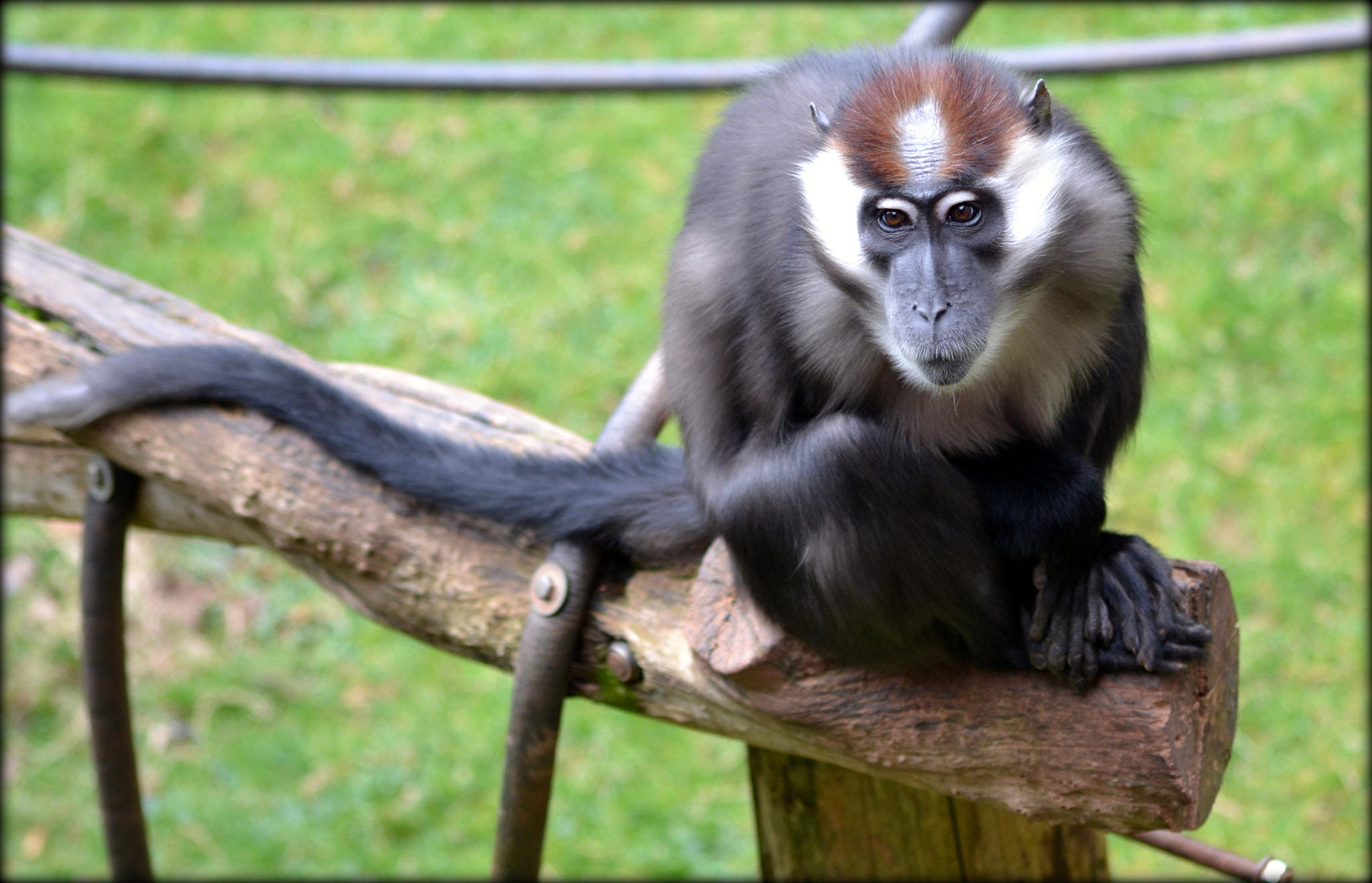 Sigma 70-300mm F4-5.6 APO DG Macro sample photo. What exactly are you looking at? photography