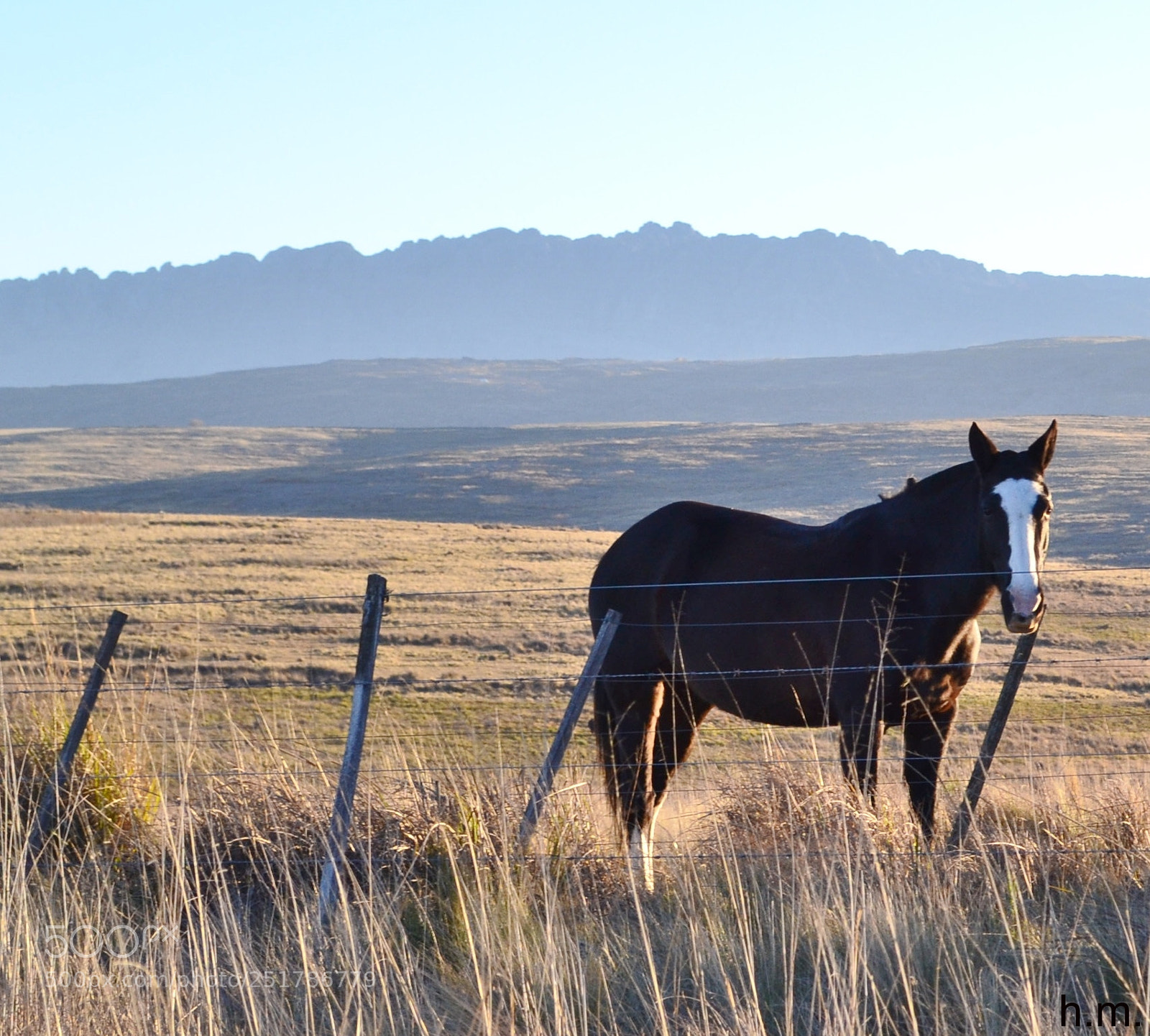 Nikon D3100 sample photo. Feaco photography