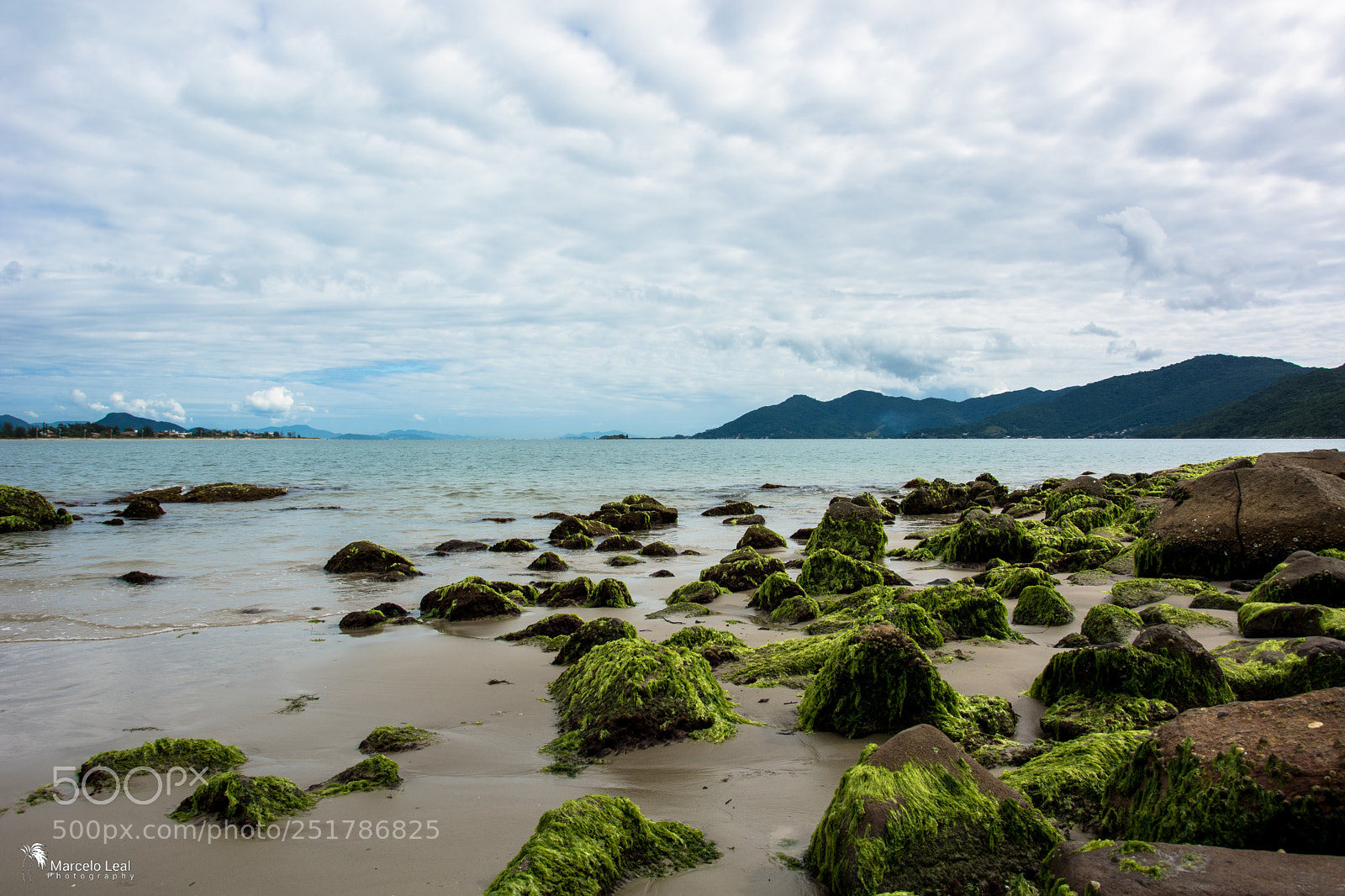 Nikon D7100 sample photo. Summer landscapes - 7 photography