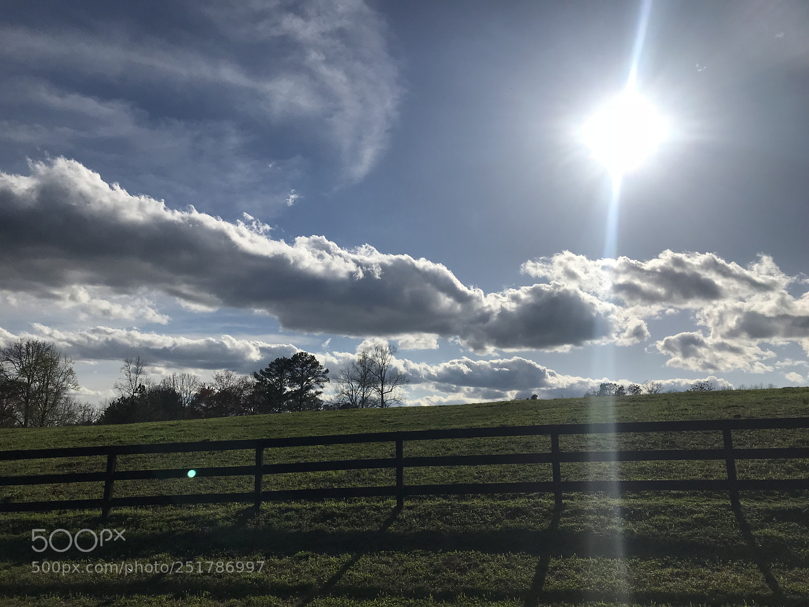 Apple iPhone 7 Plus sample photo. Untitled photography