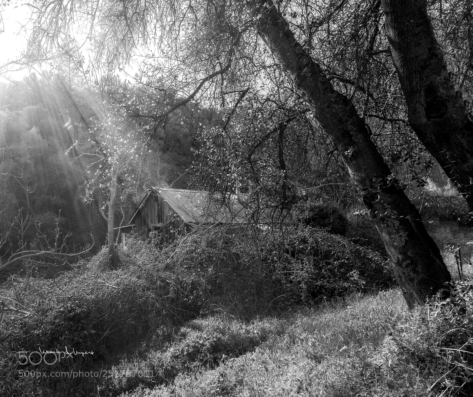 Nikon D5500 sample photo. A nice discovery photography