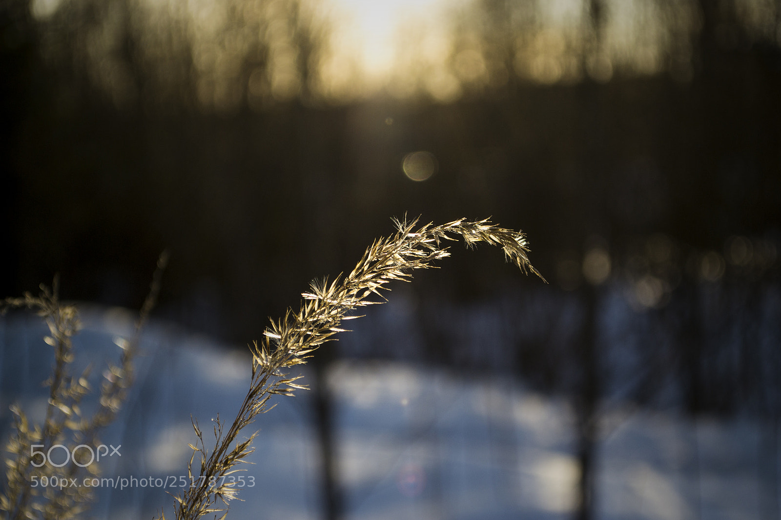 Nikon D3100 sample photo. Закат photography