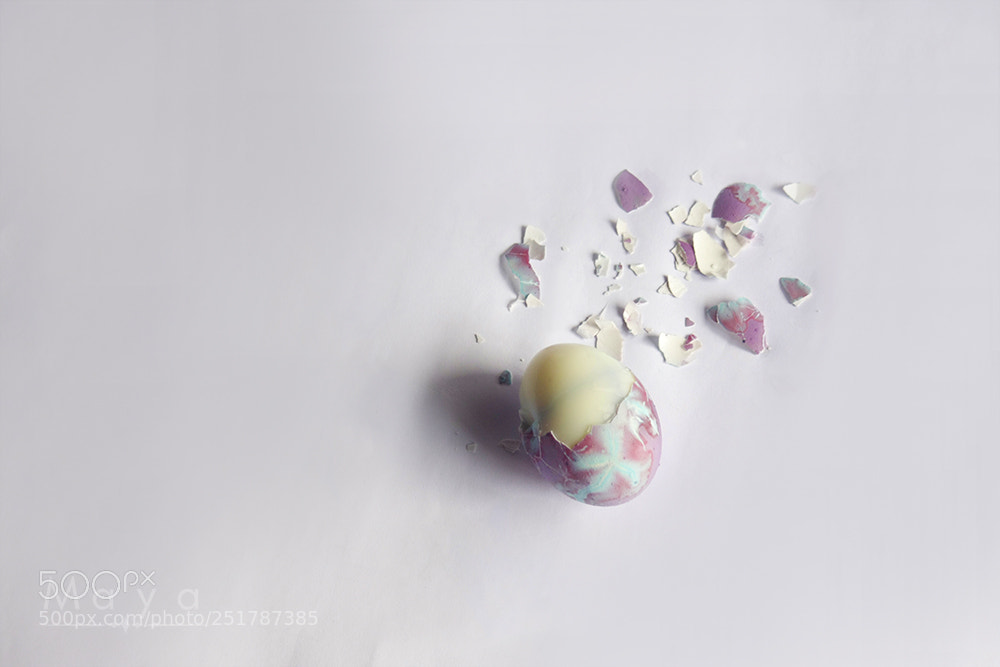 Canon EOS 40D sample photo. Happy easter !!! photography