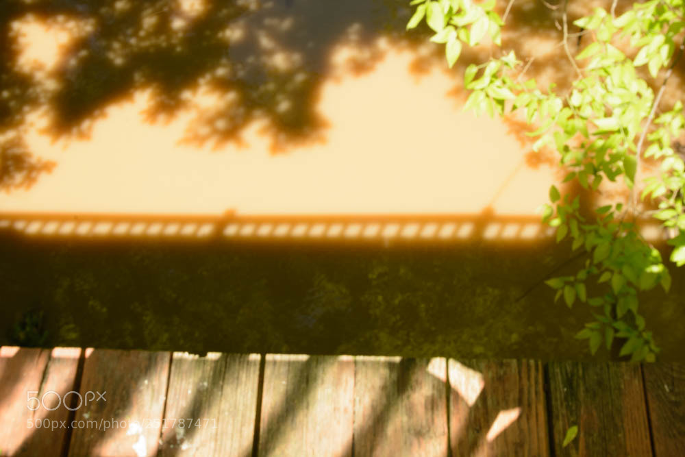 Nikon D7100 sample photo. Reflection from my deck photography