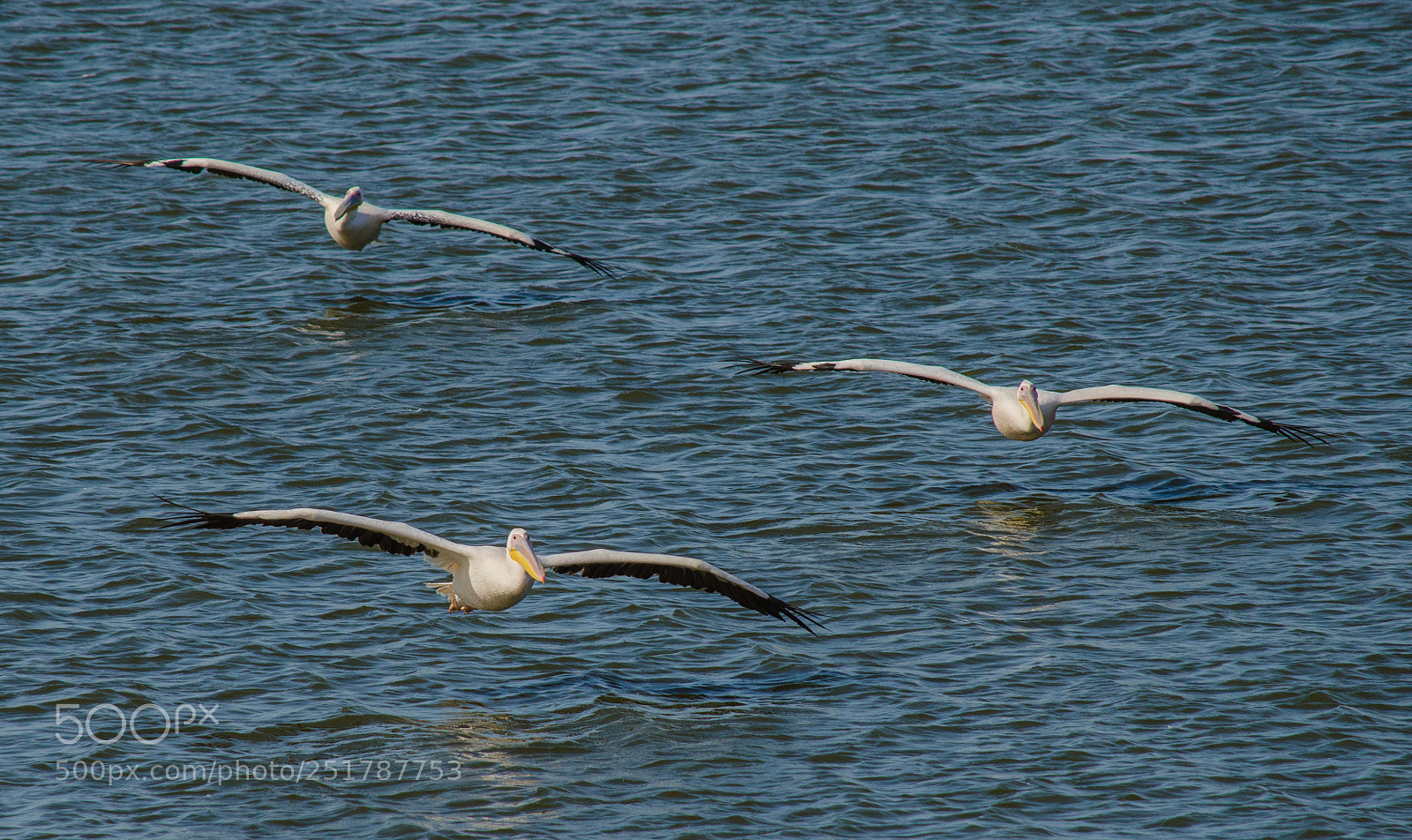 Nikon D7000 sample photo. Trio photography