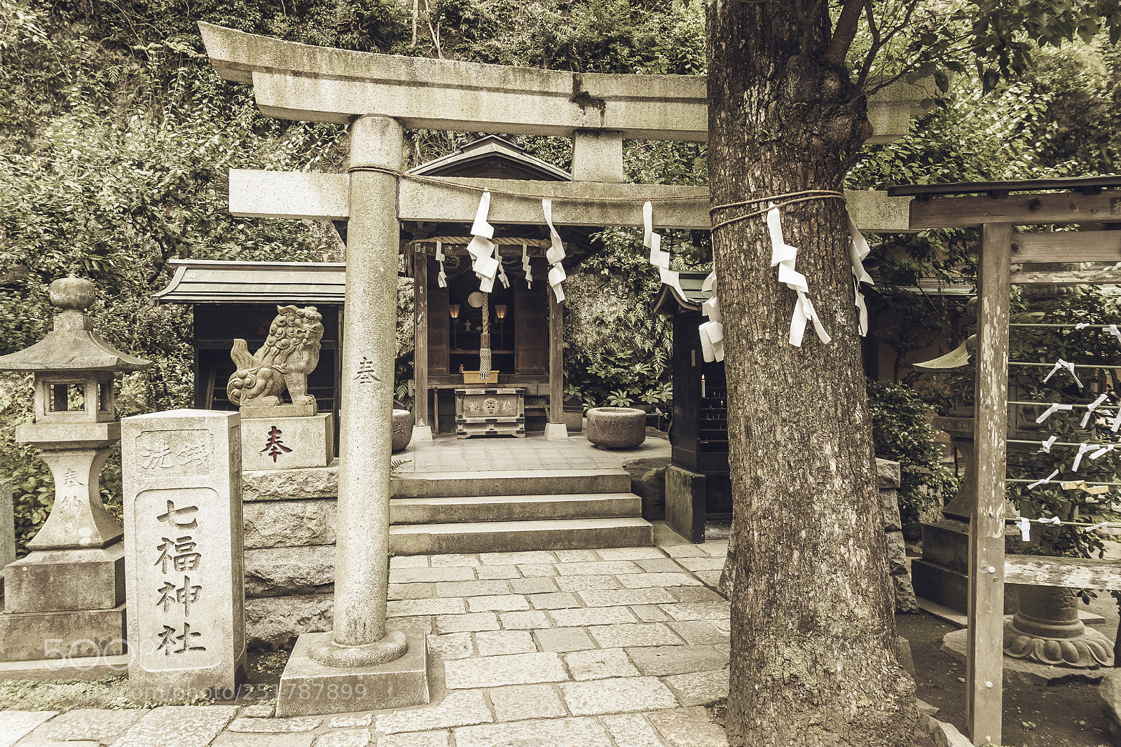Canon EOS 450D (EOS Rebel XSi / EOS Kiss X2) sample photo. Kamakura shinto shrine photography