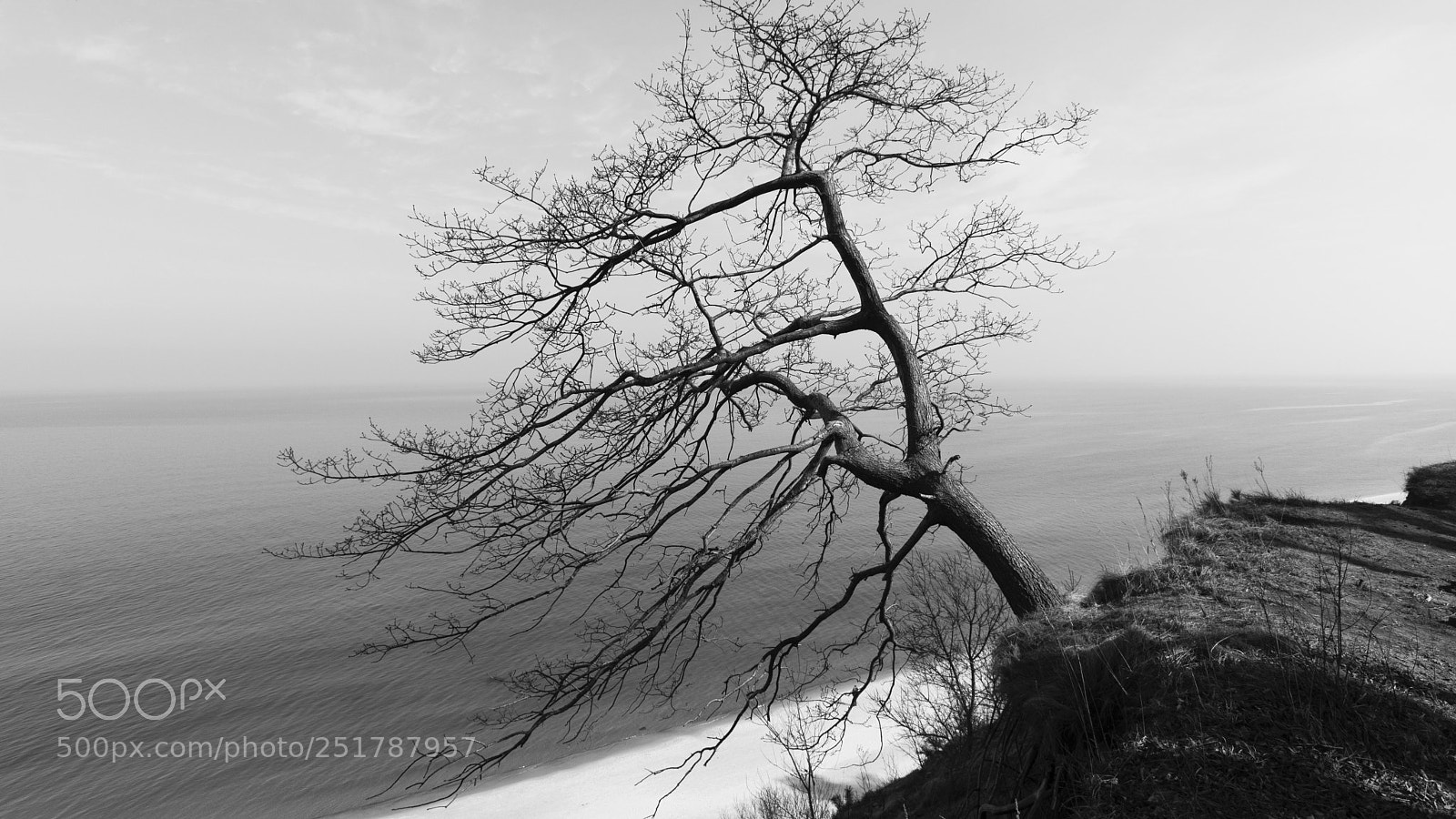 Sony SLT-A65 (SLT-A65V) sample photo. Untitled photography