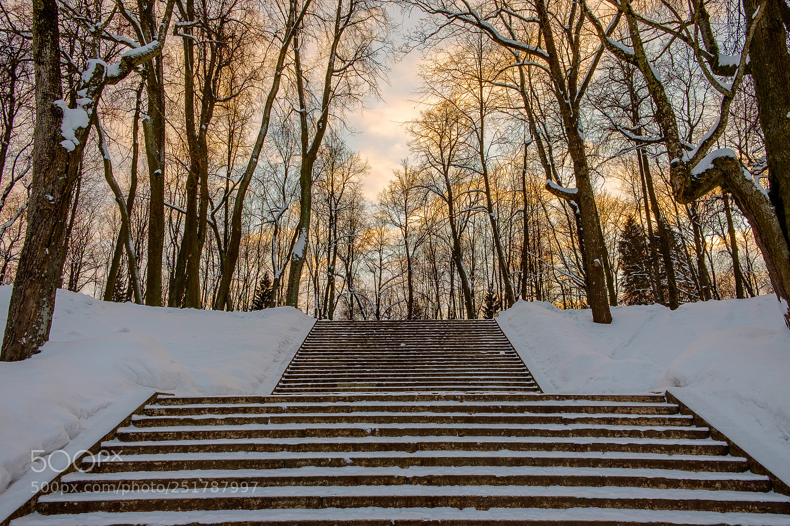 Fujifilm X-E2S sample photo. Walking in the park photography