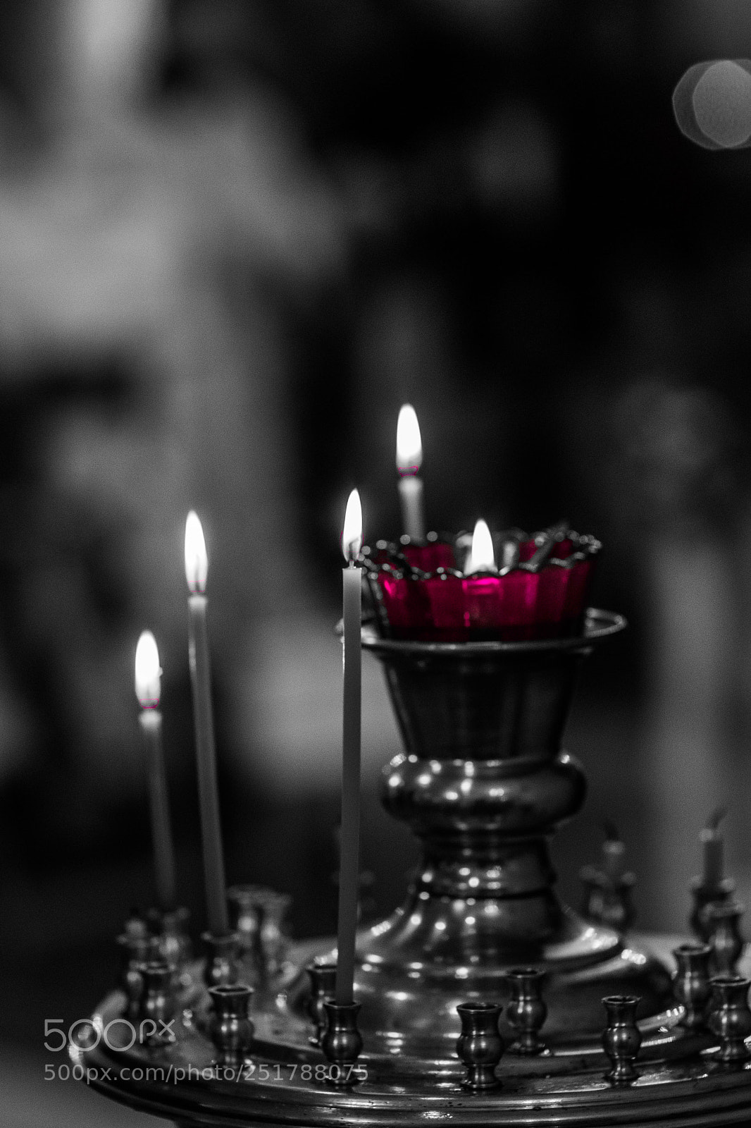 Canon EOS 80D sample photo. Untitled photography
