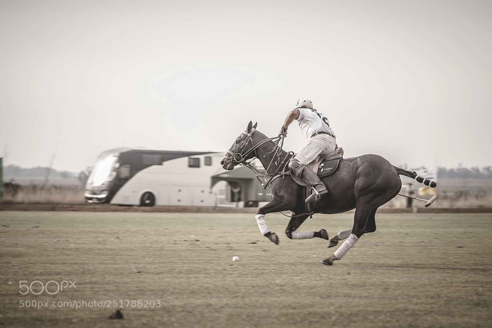Sony a7 sample photo. Polo photography