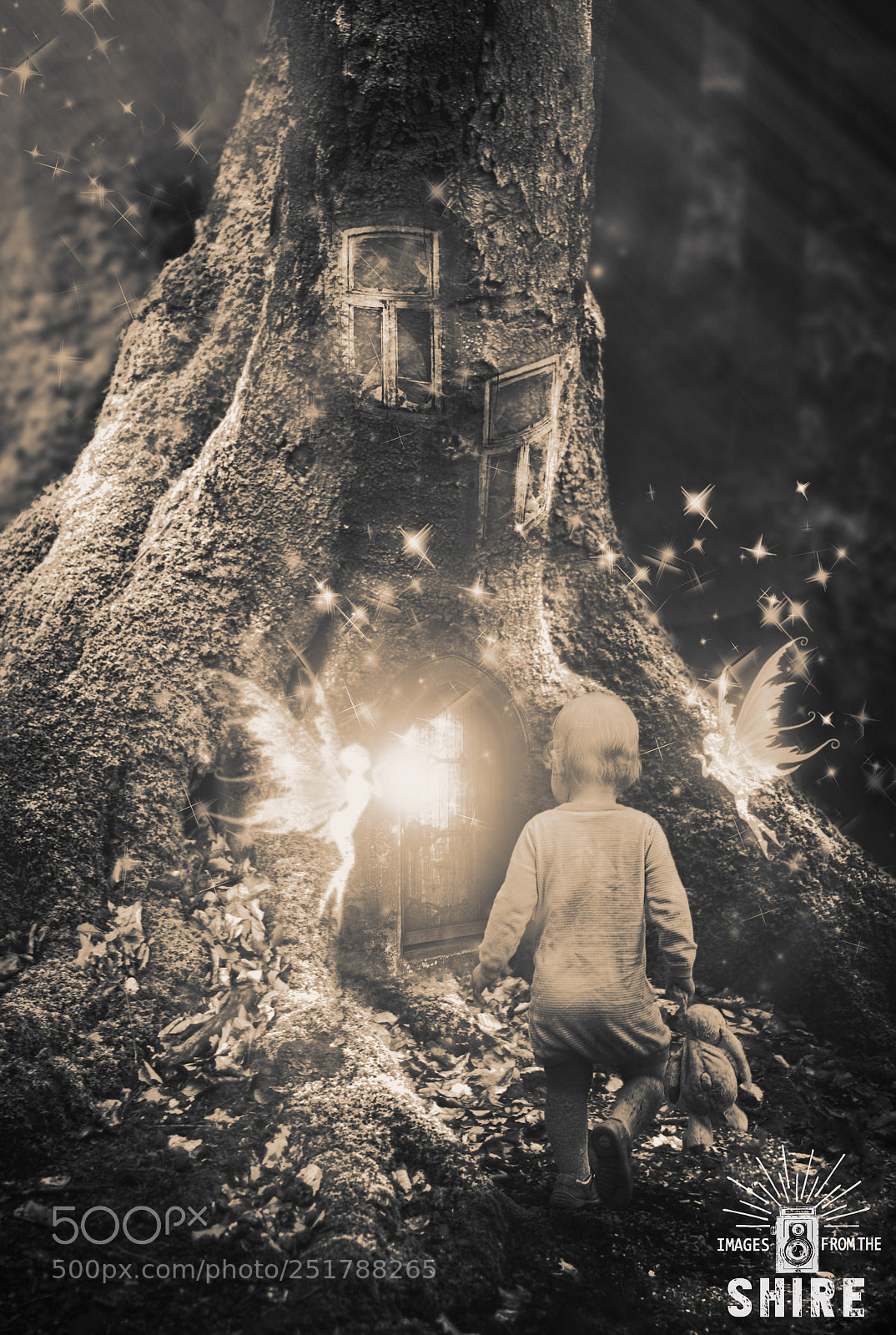 Nikon D200 sample photo. Lost in the woods photography