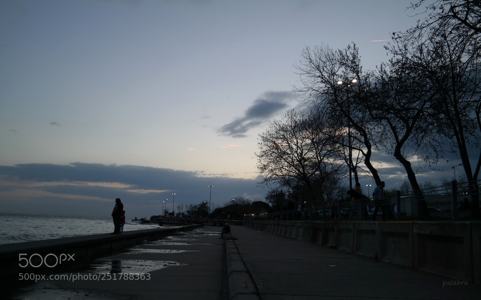 Samsung NX300 sample photo. ... photography