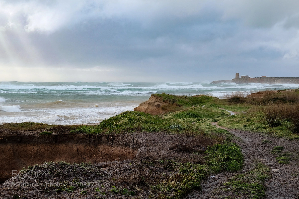 Fujifilm X-E2 sample photo. Il sentiero photography