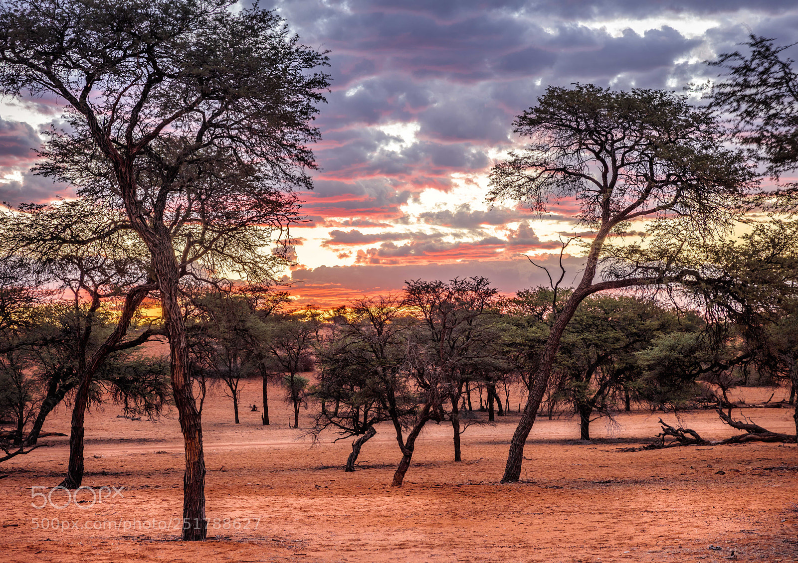 Canon EOS 5DS R sample photo. Kalahari sunset photography