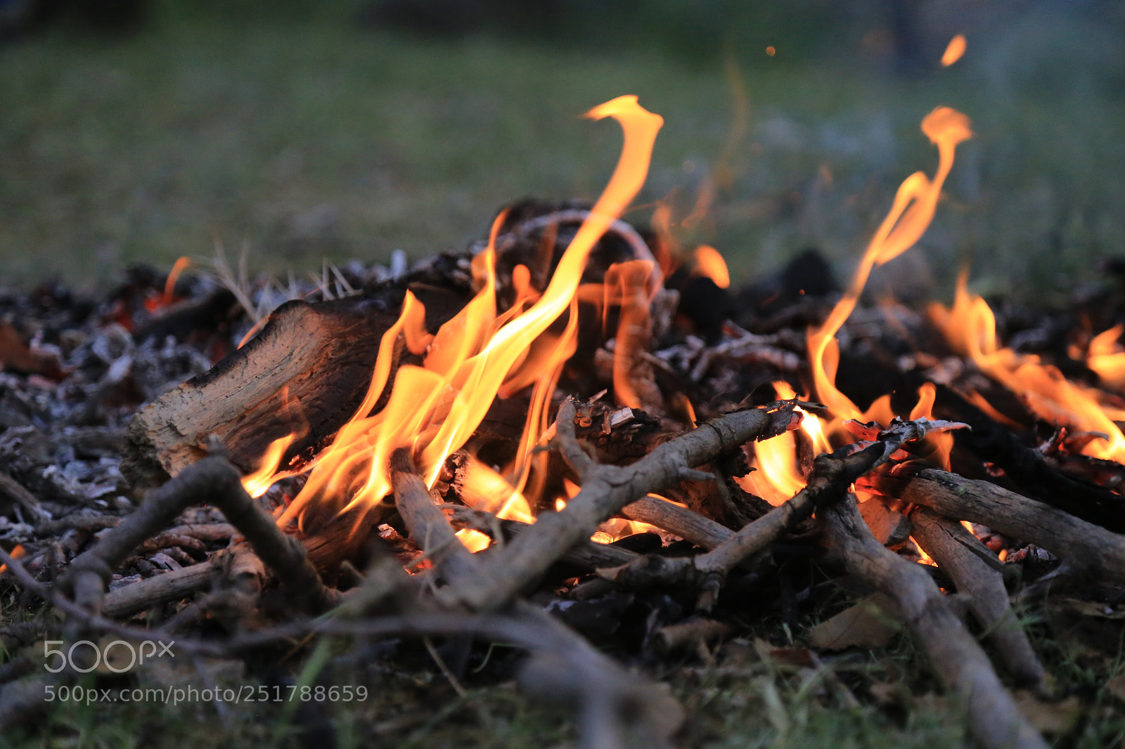 Canon EOS 6D + Canon EF 24-105mm F4L IS USM sample photo. Untitled photography