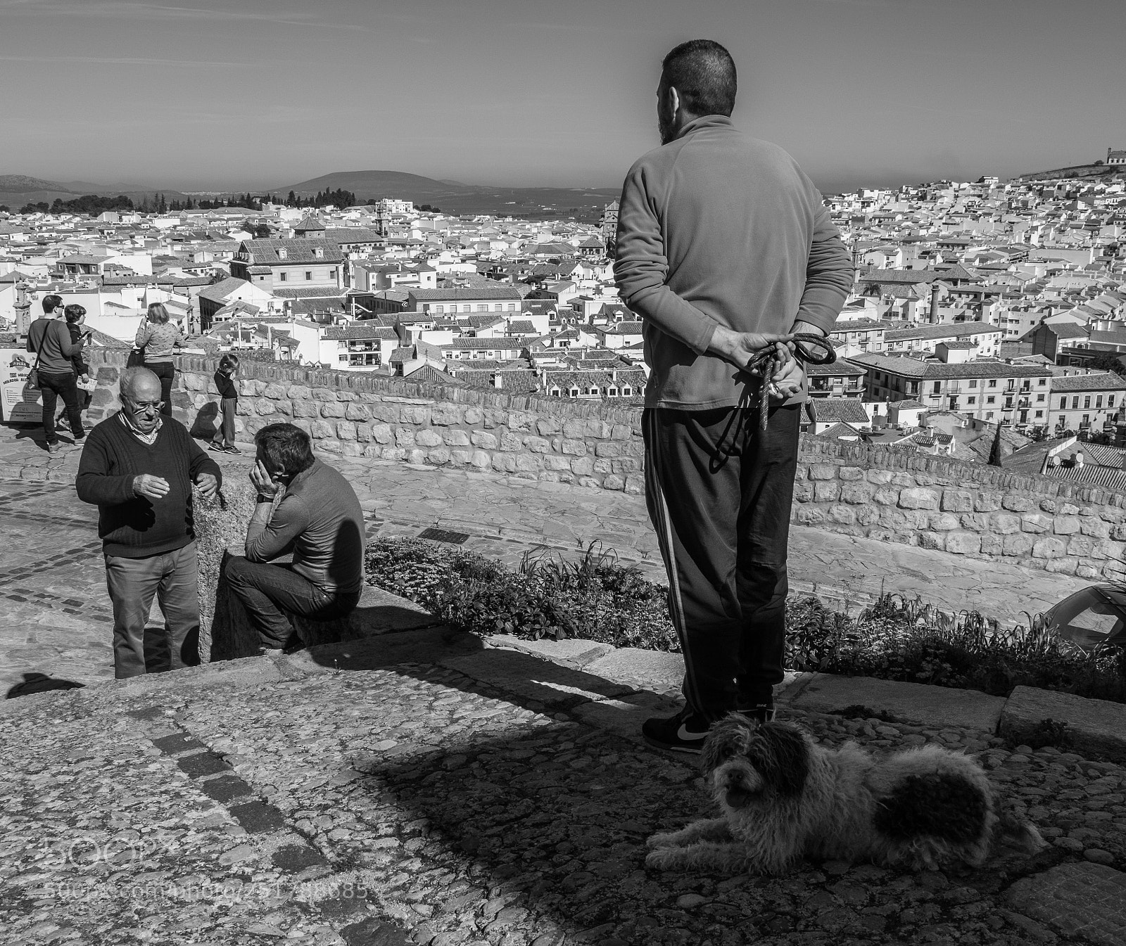 Fujifilm X-T20 sample photo. Man with dog enjoying photography