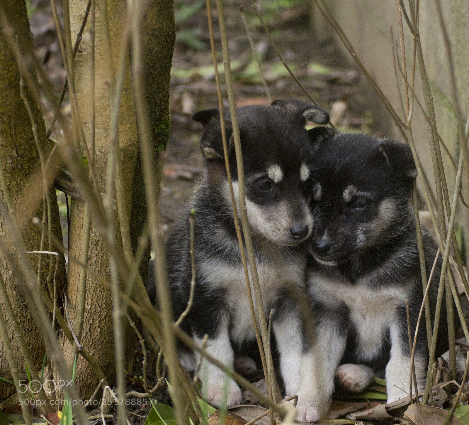 Nikon D3100 sample photo. Cadixos photography
