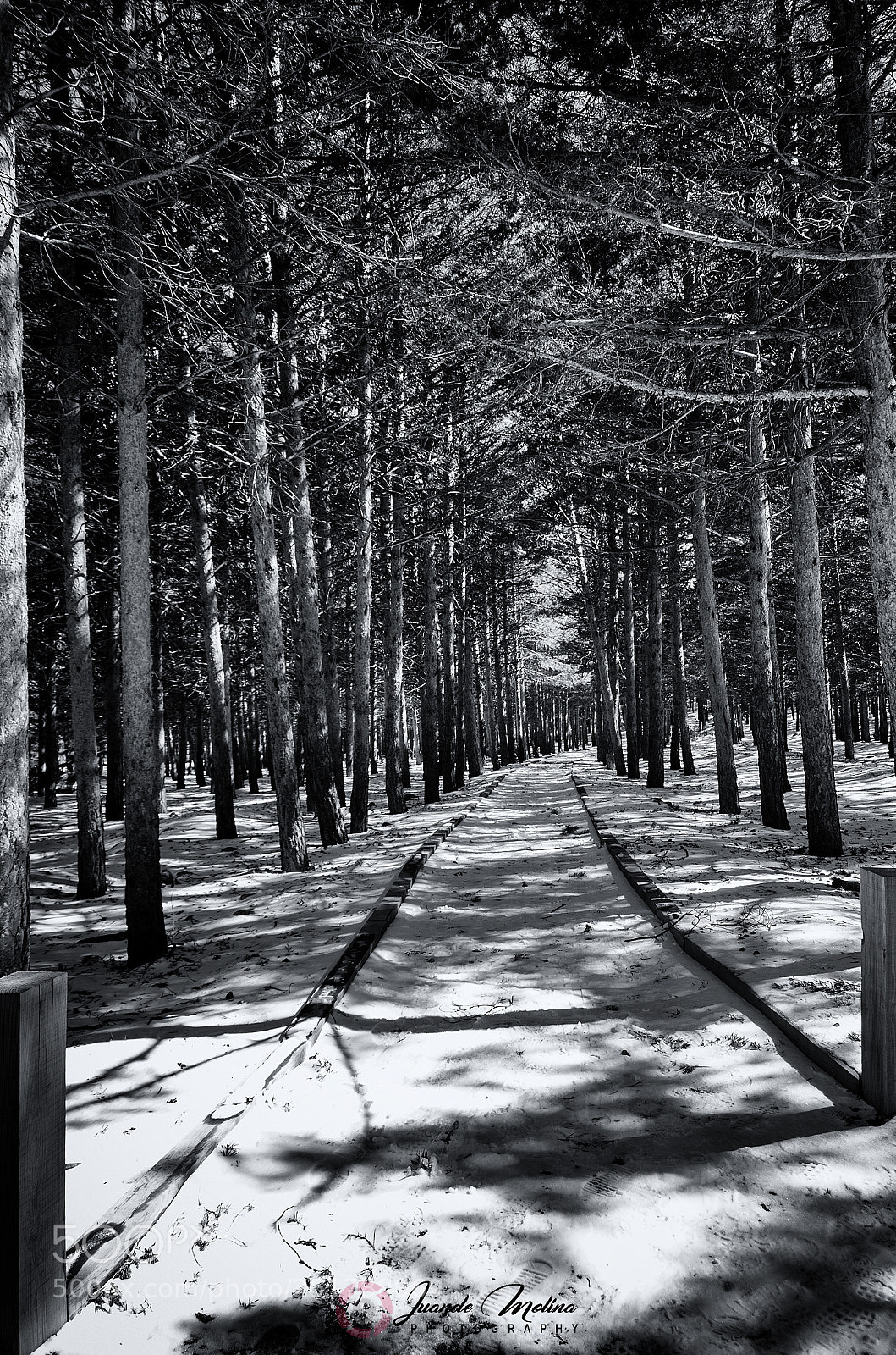 Nikon D7000 sample photo. Un camino enmarañado... photography
