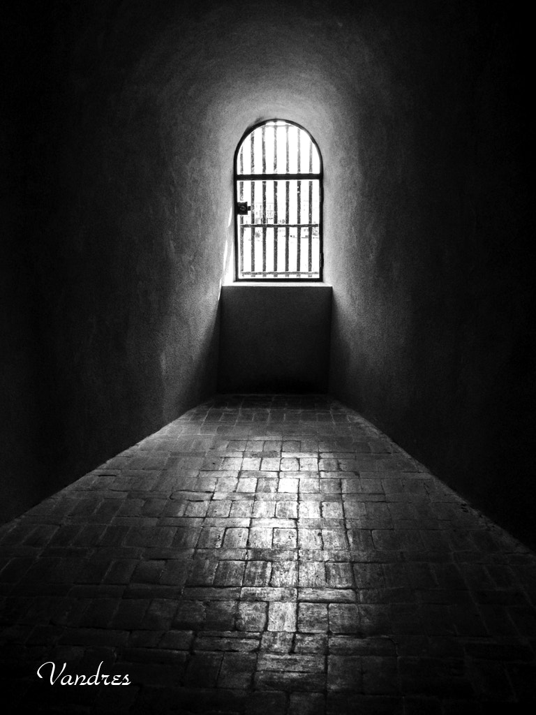 Canon PowerShot ELPH 340 HS (IXUS 265 HS / IXY 630) sample photo. Lights and shadows inside the segovia's alcazar (spain) photography