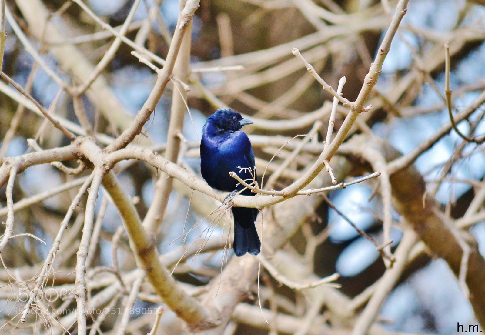Nikon D3100 sample photo. Ebo photography