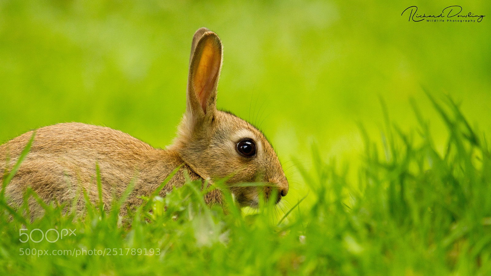 Canon EOS 7D sample photo. Beauty is in the photography