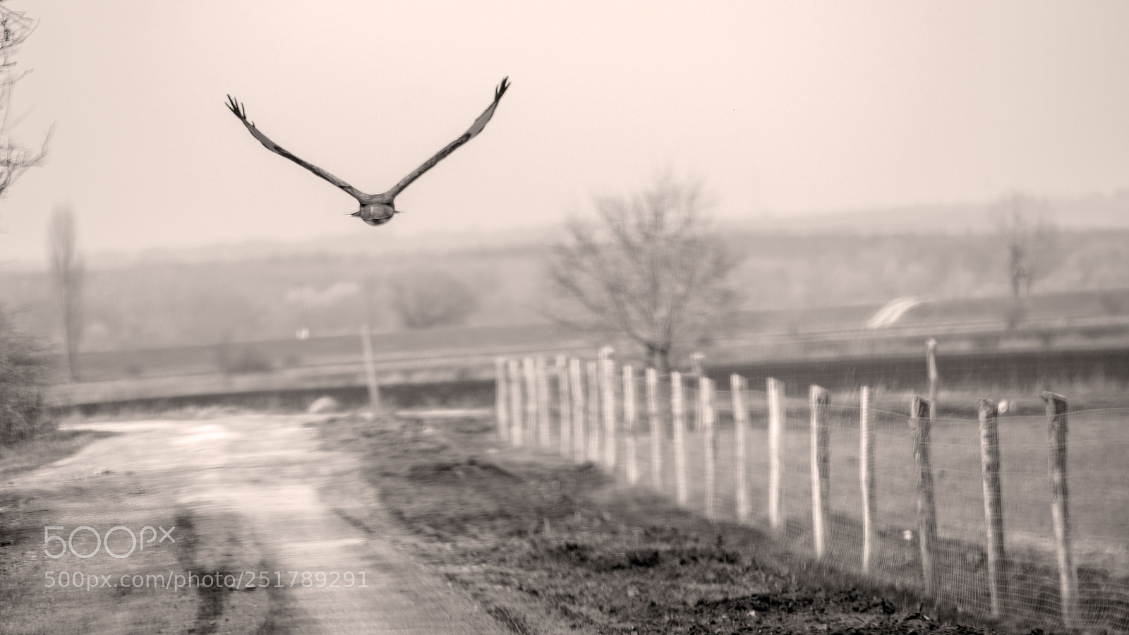 Nikon D810 sample photo. Wow photography