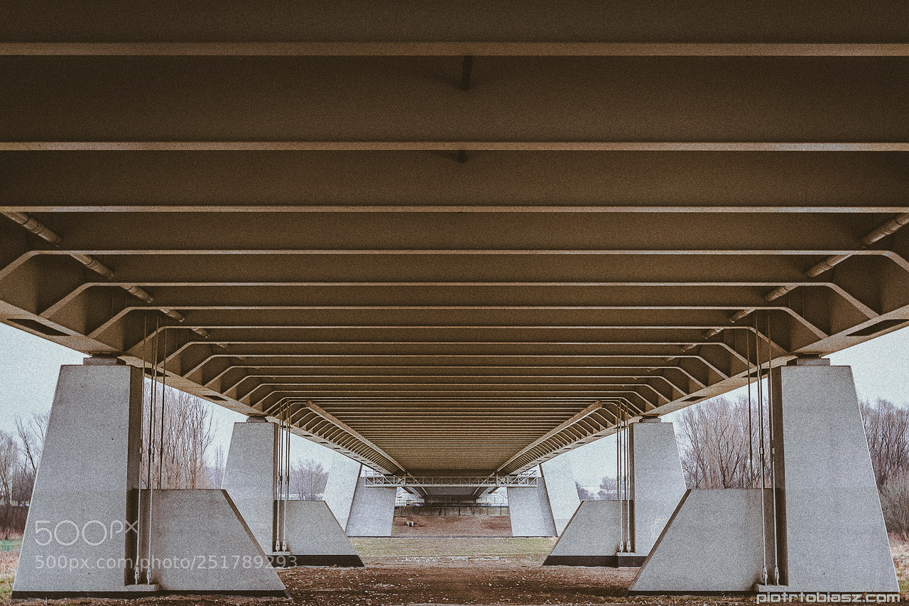 Canon EOS 7D sample photo. Bridge. photography