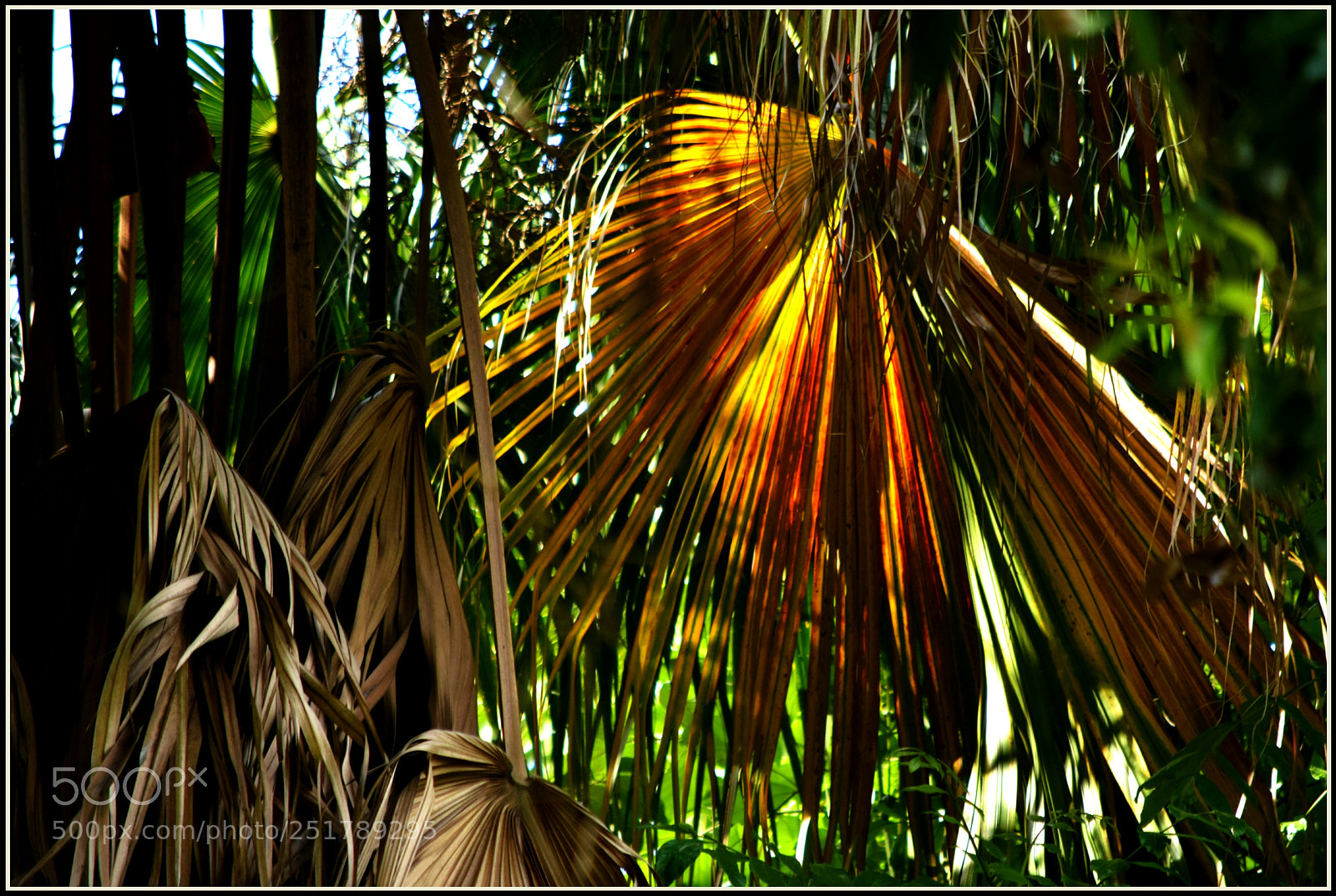 Nikon D5300 sample photo. ... photography