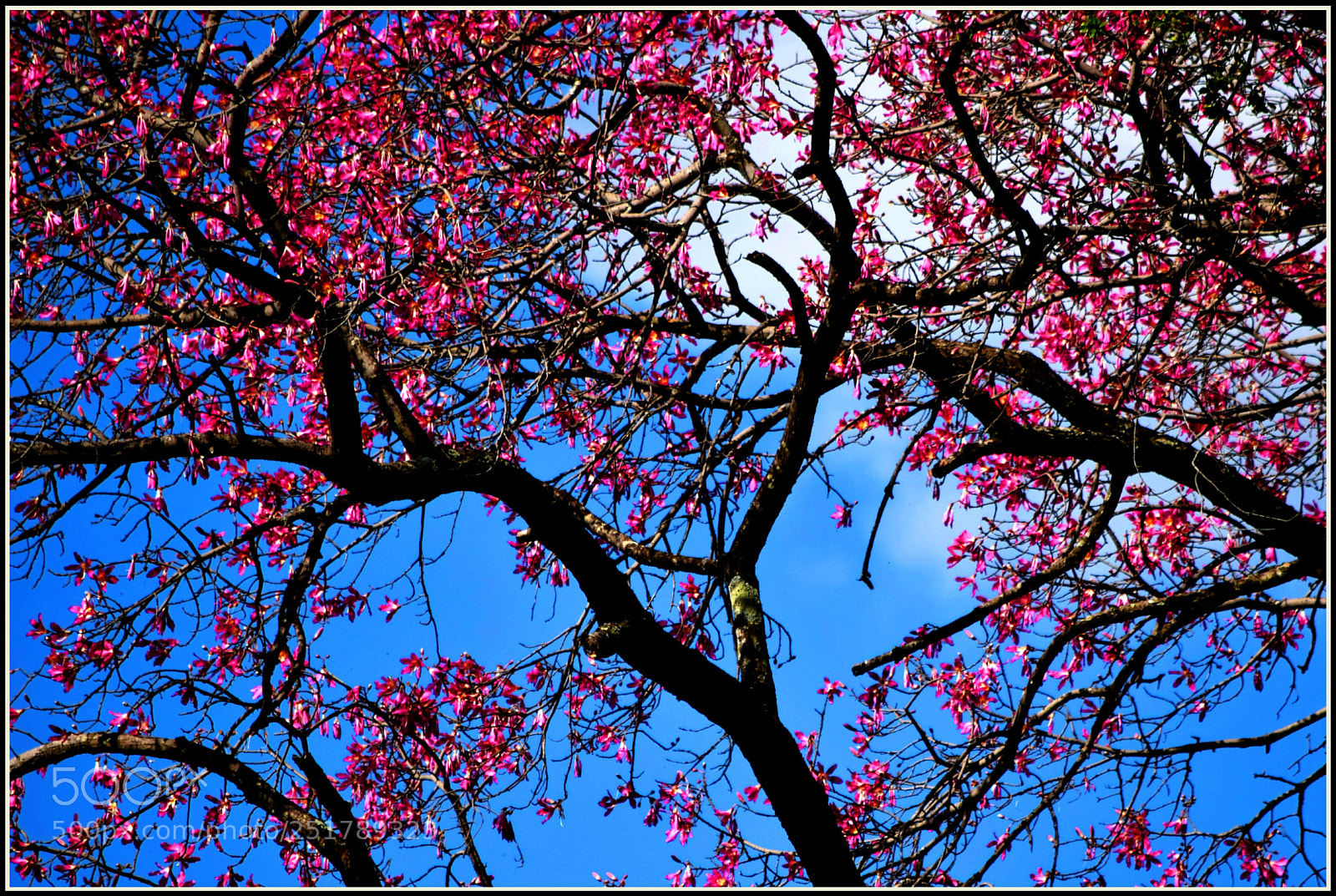 Nikon D5300 sample photo. ... photography
