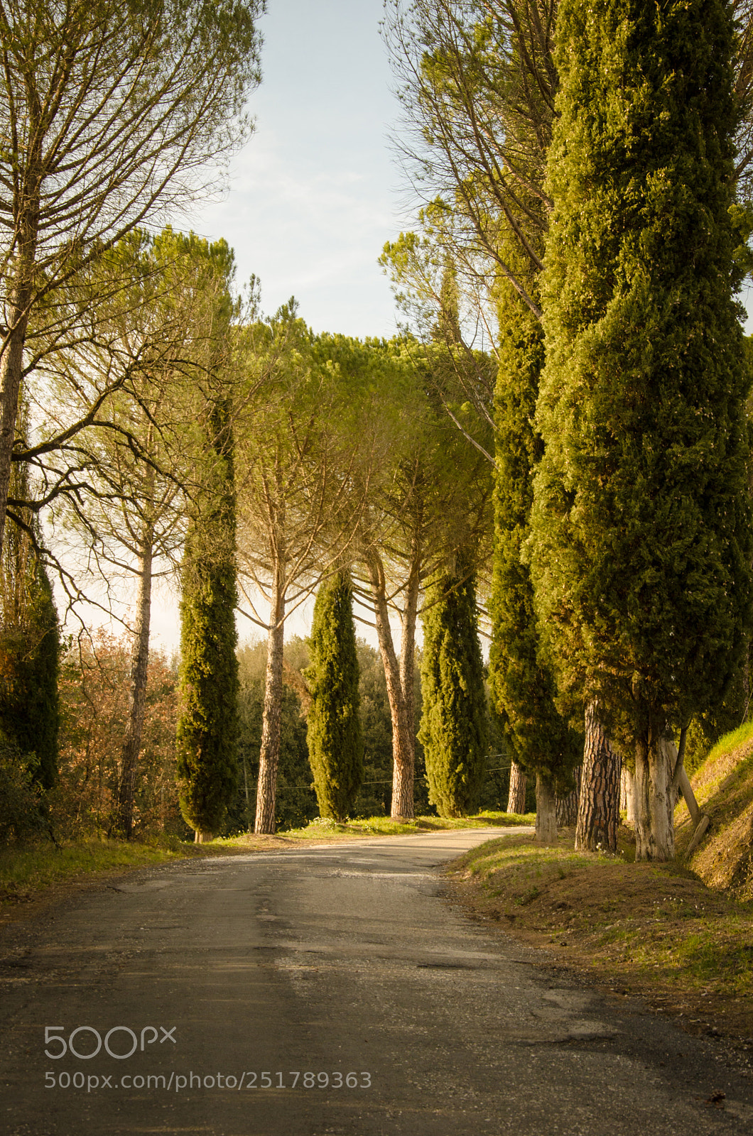 Nikon D7000 sample photo. Campagna ii photography