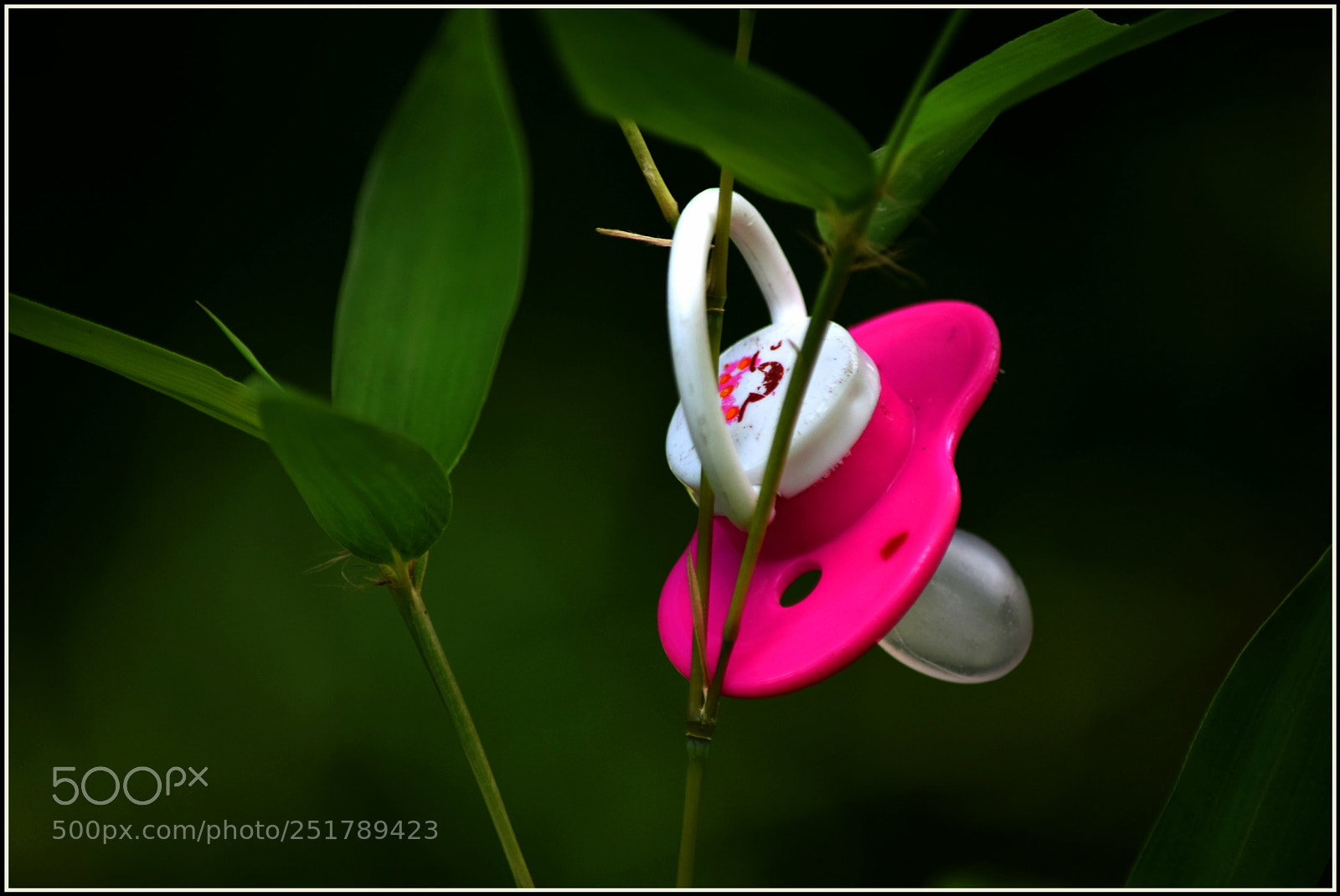 Nikon D5300 sample photo. ..;-d... photography