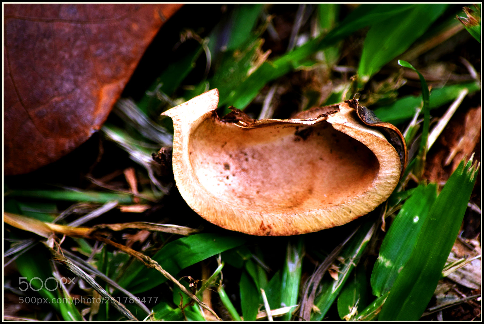 Nikon D5300 sample photo. ... photography