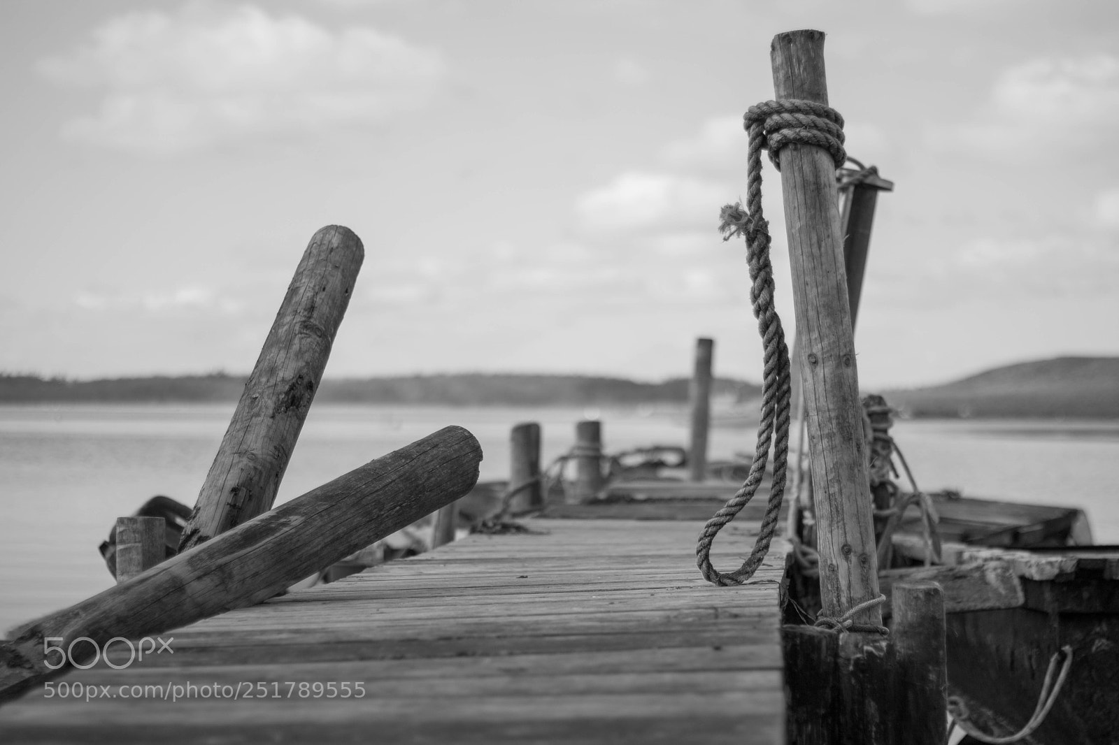 Canon EOS 760D (EOS Rebel T6s / EOS 8000D) sample photo. Bridge in roskilde fjord photography