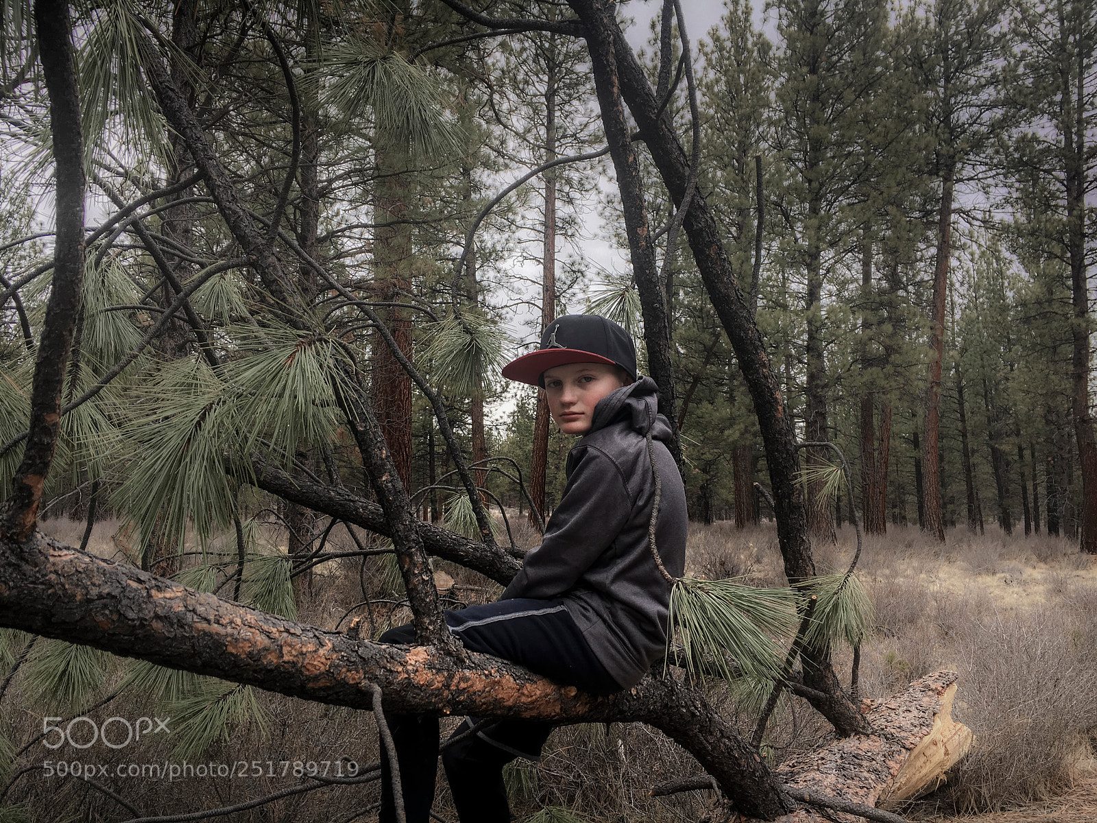 Apple iPhone 6s sample photo. Boy in the woods photography