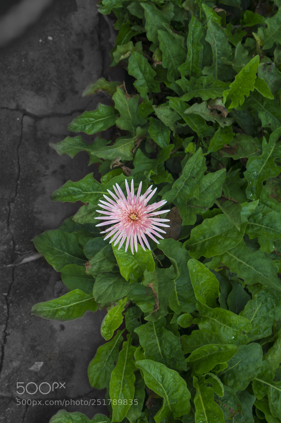 Nikon D3200 sample photo. Color humano photography