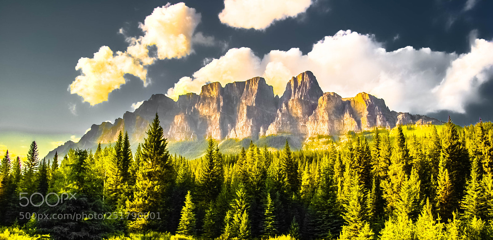 Nikon D50 sample photo. Real going fantasy photography