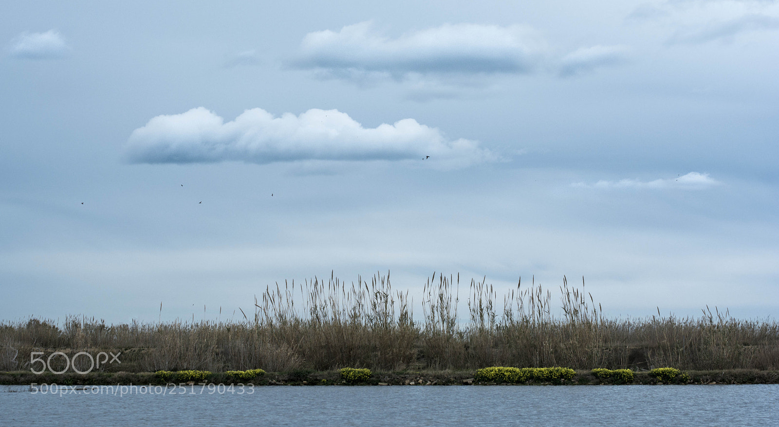 Nikon D7100 sample photo. Stillness photography
