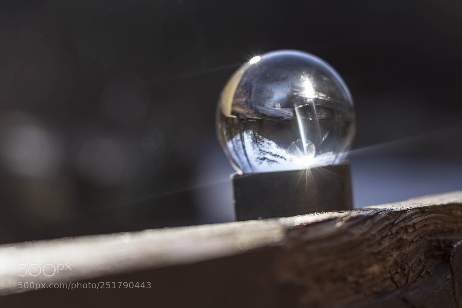 Canon EOS 7D sample photo. Rg - sinneswald 1 photography