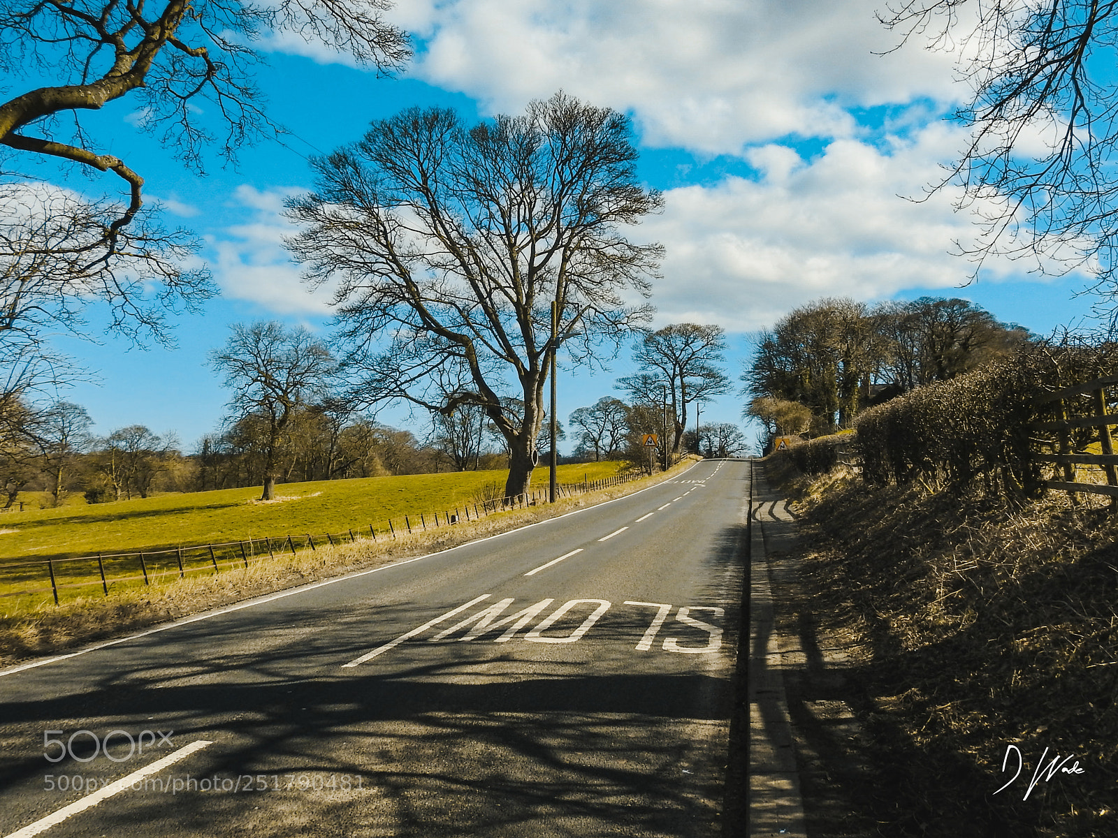 Nikon Coolpix P900 sample photo. Sunny road photography