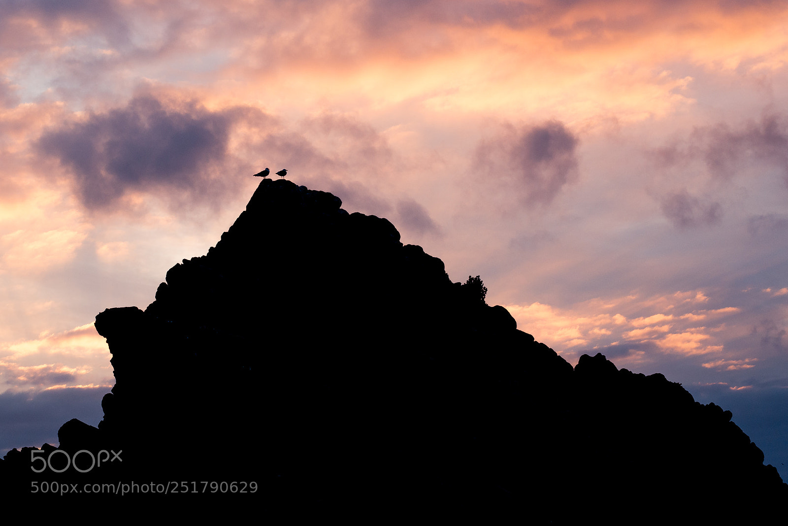 Nikon D610 sample photo. Un atardecer de p photography