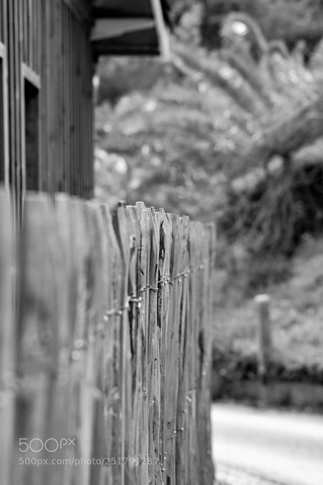 Nikon D5300 sample photo. Clôture bois photography