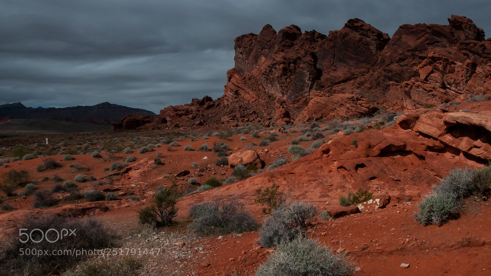 Nikon D300 sample photo. Valley of fire photography
