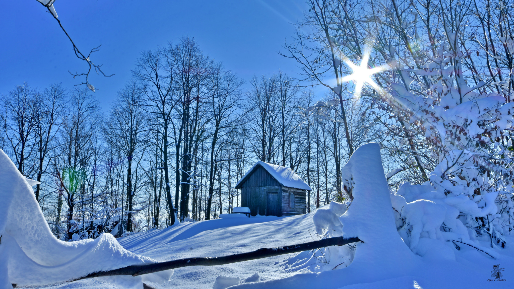 Nikon D7200 sample photo. Winter story photography