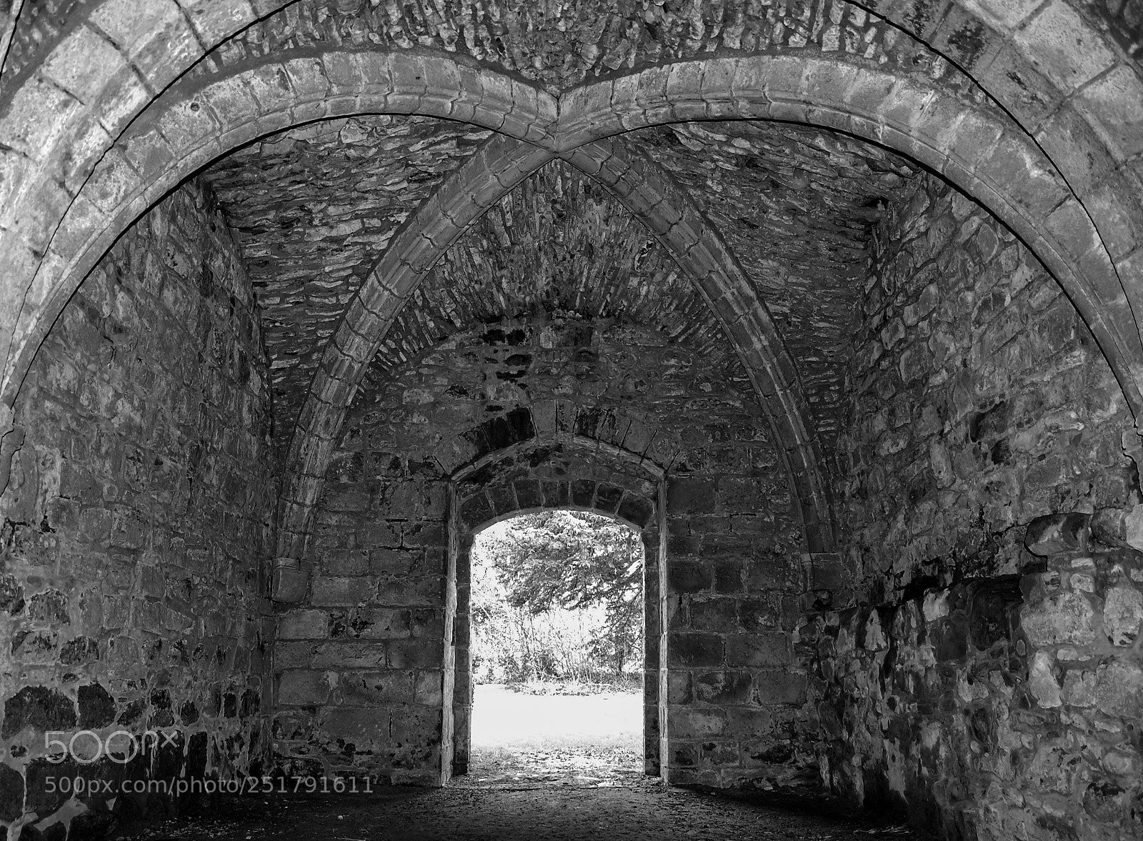 Nikon D40 sample photo. Doorway at lilleshall abbey photography