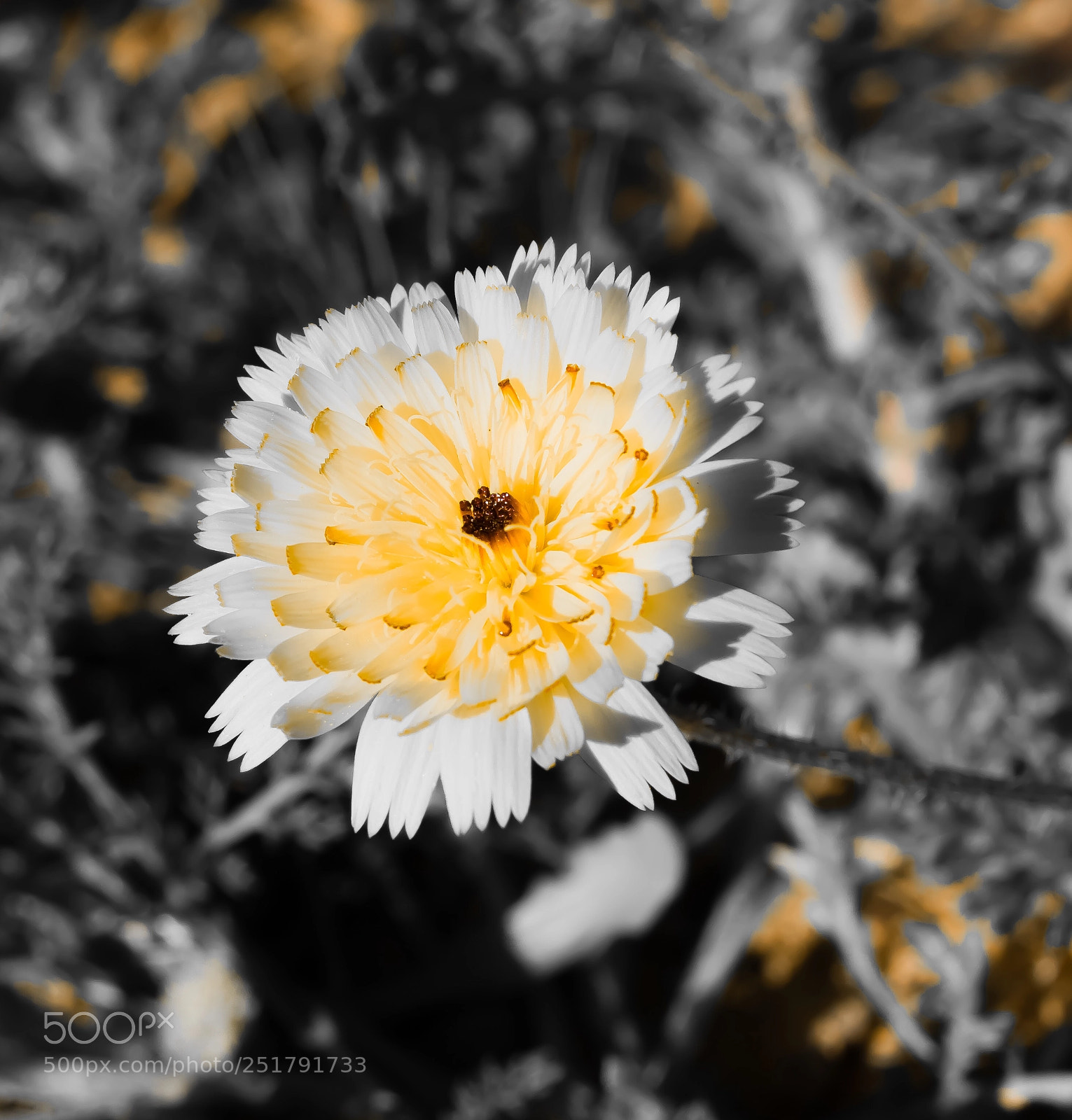 Nikon D3100 sample photo. Untitled photography