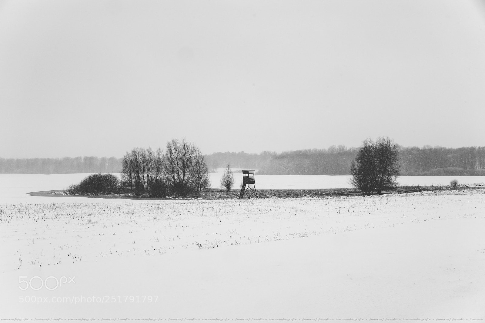 Sony ILCA-77M2 sample photo. H a p p photography