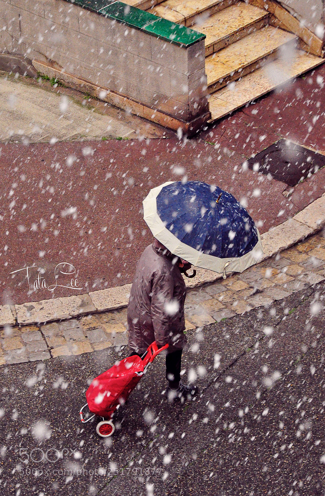 Nikon D5000 sample photo. Snow  photography