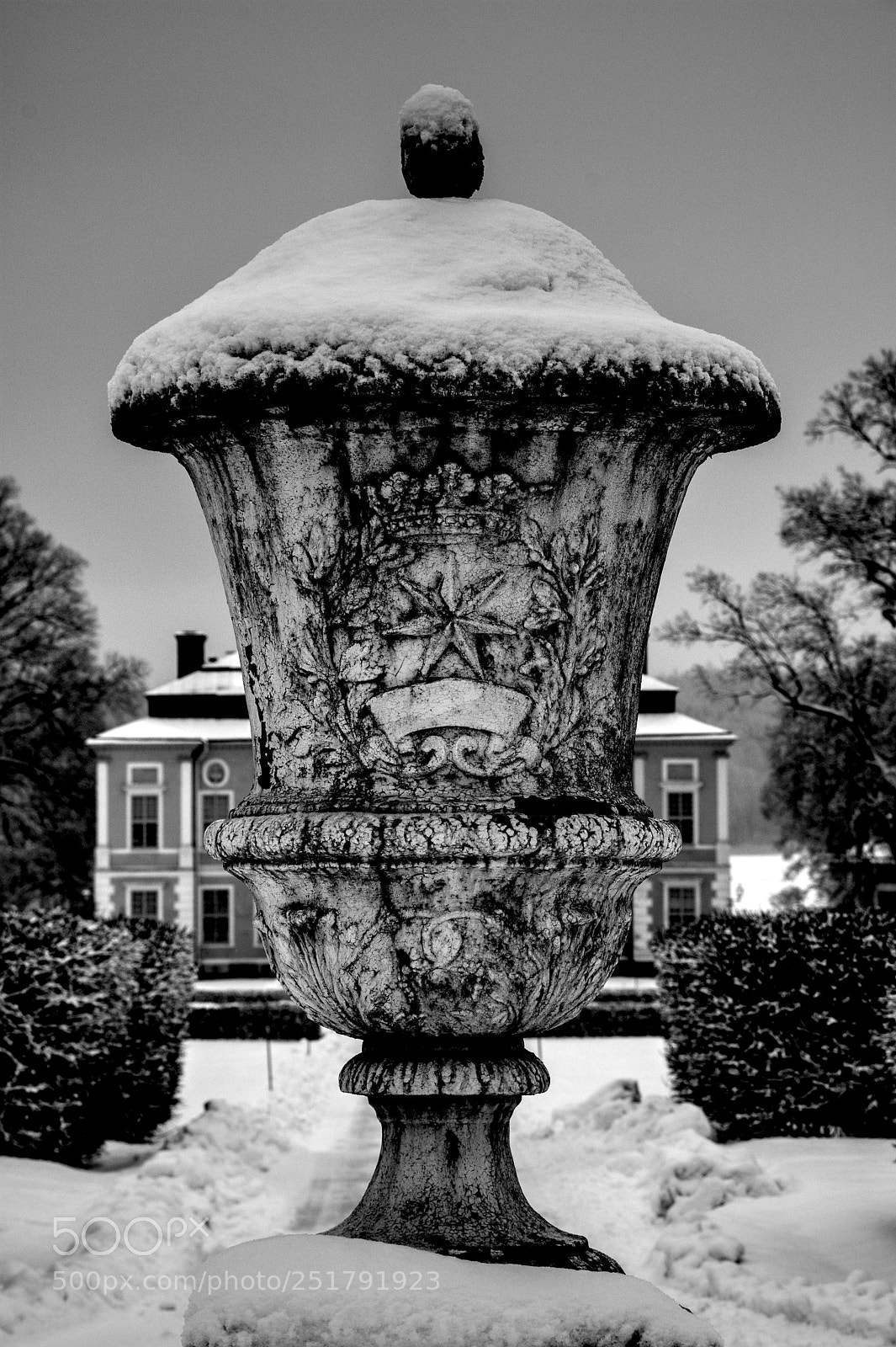 Nikon D500 sample photo. Am park vum schwedenschlass photography